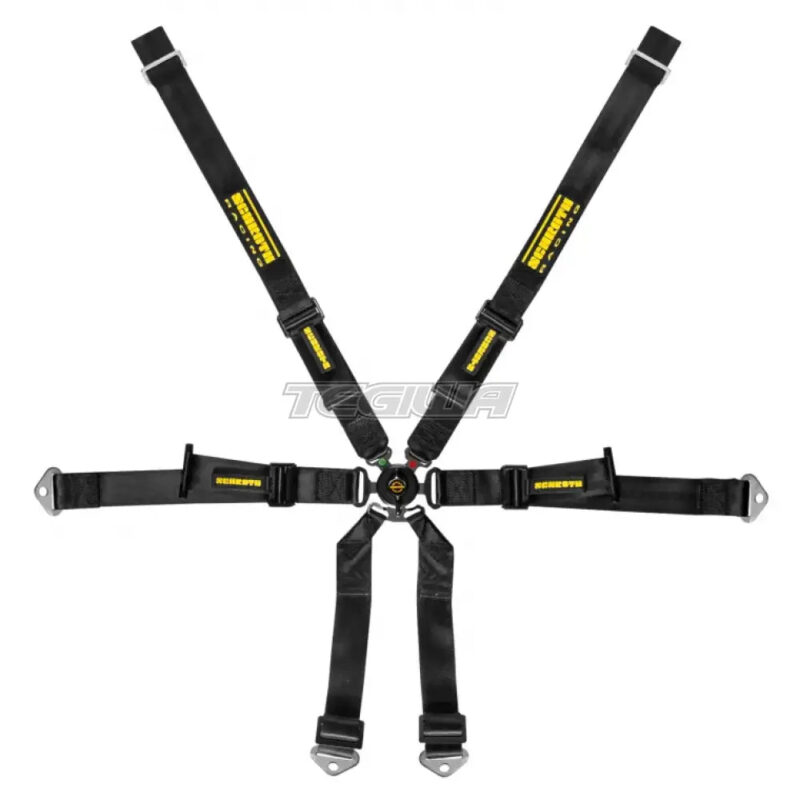 Schroth 6 Point 2x2 OEM Porsche 981 Harness