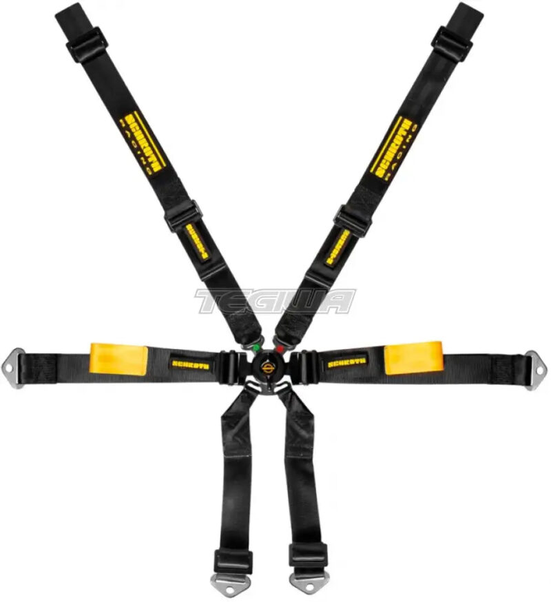 Schroth 6 Point 2x2 OEM Porsche 991/981 Enduro Harness