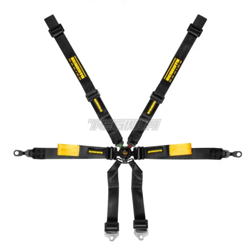 Schroth 6 Point 2x2 OEM Porsche 996/997 Enduro Harness