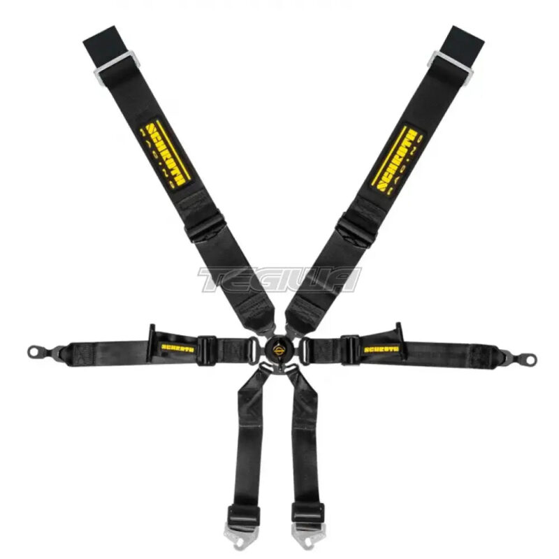 Schroth 6 Point 3x2 OEM Porsche 996/997 Profi Harness