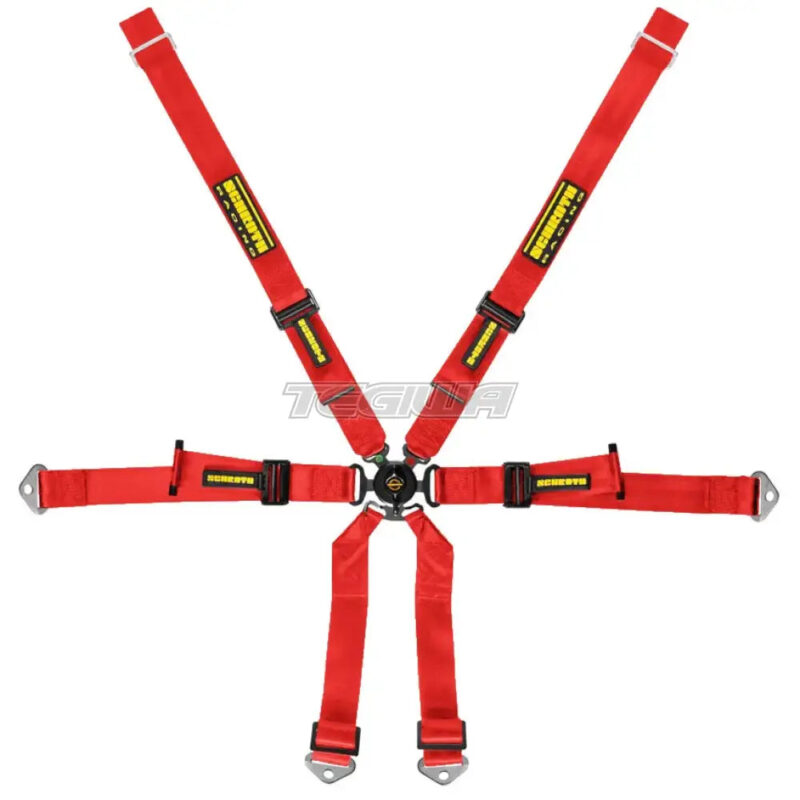 Schroth FHR 6 Point 2x2 OEM Porsche 996/997 Profi Harness - Image 2