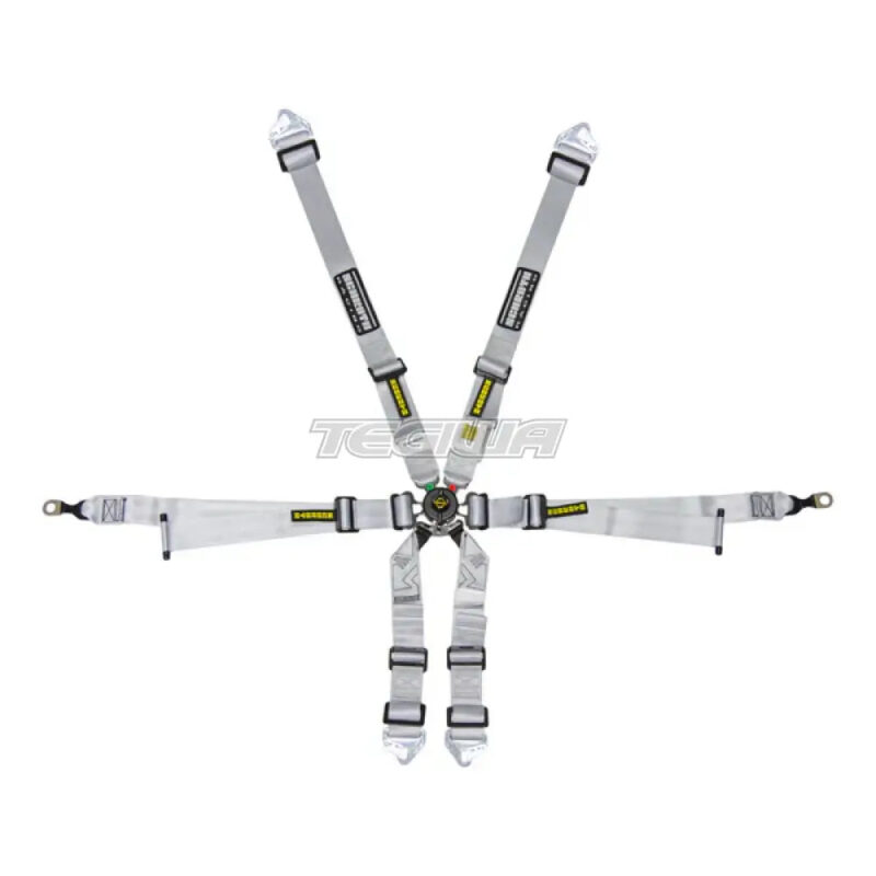 Schroth FHR 6 Point 2x2 OEM Porsche 996/997 Profi Harness - Image 4