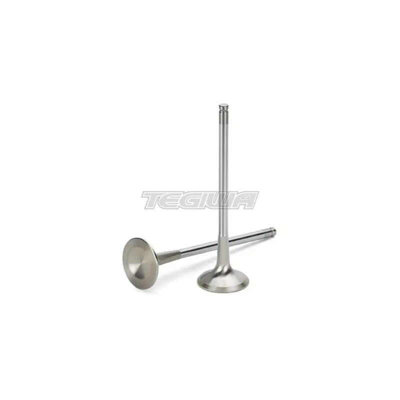 Supertech Intake and Exhaust Valves BMW S65
